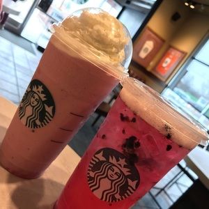 Meet your Posher, Sansani